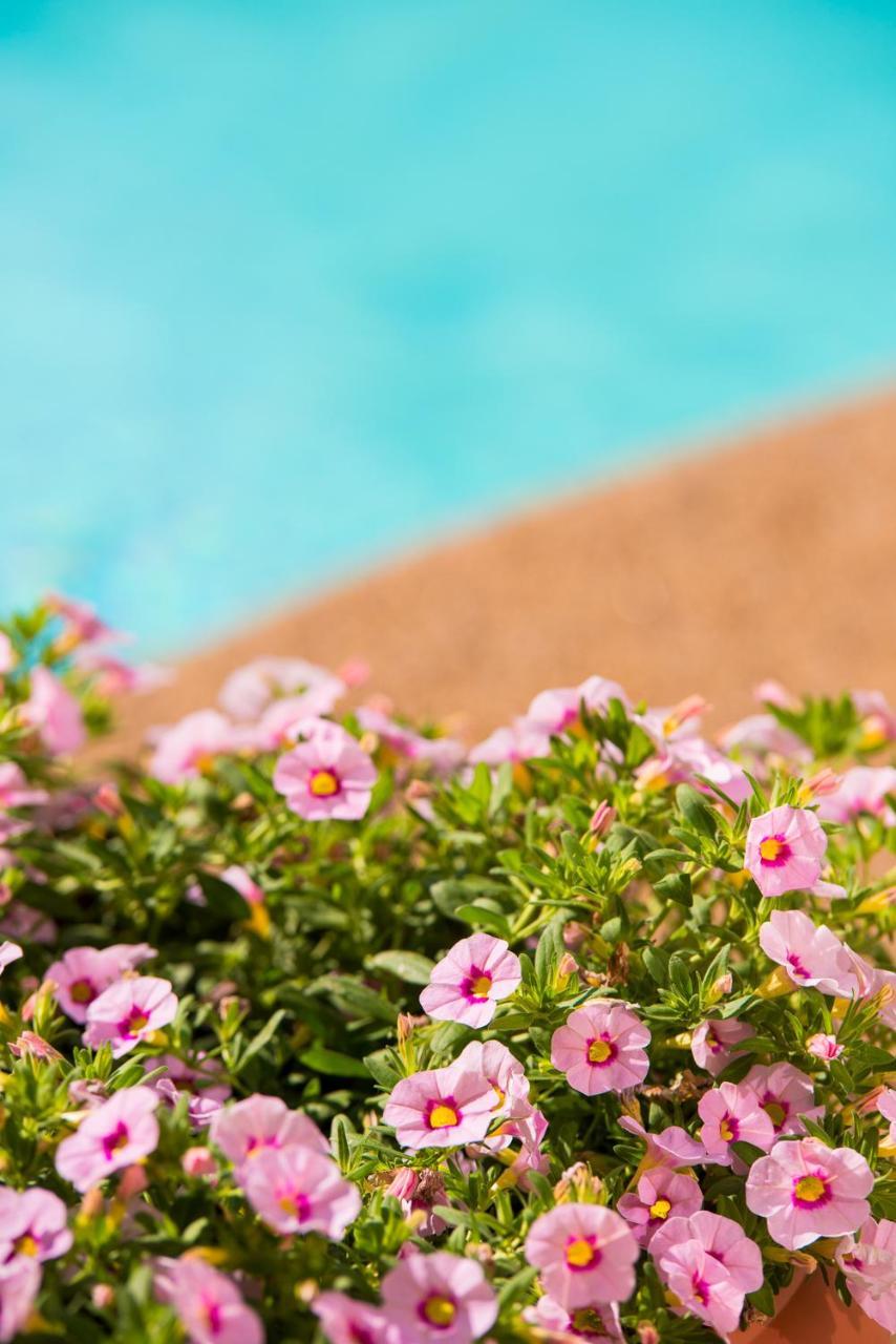 Neikos Mediterraneo Luxury Suites Hanioti Zewnętrze zdjęcie